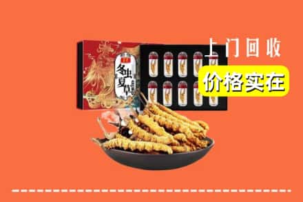 百色那坡县回收冬虫夏草